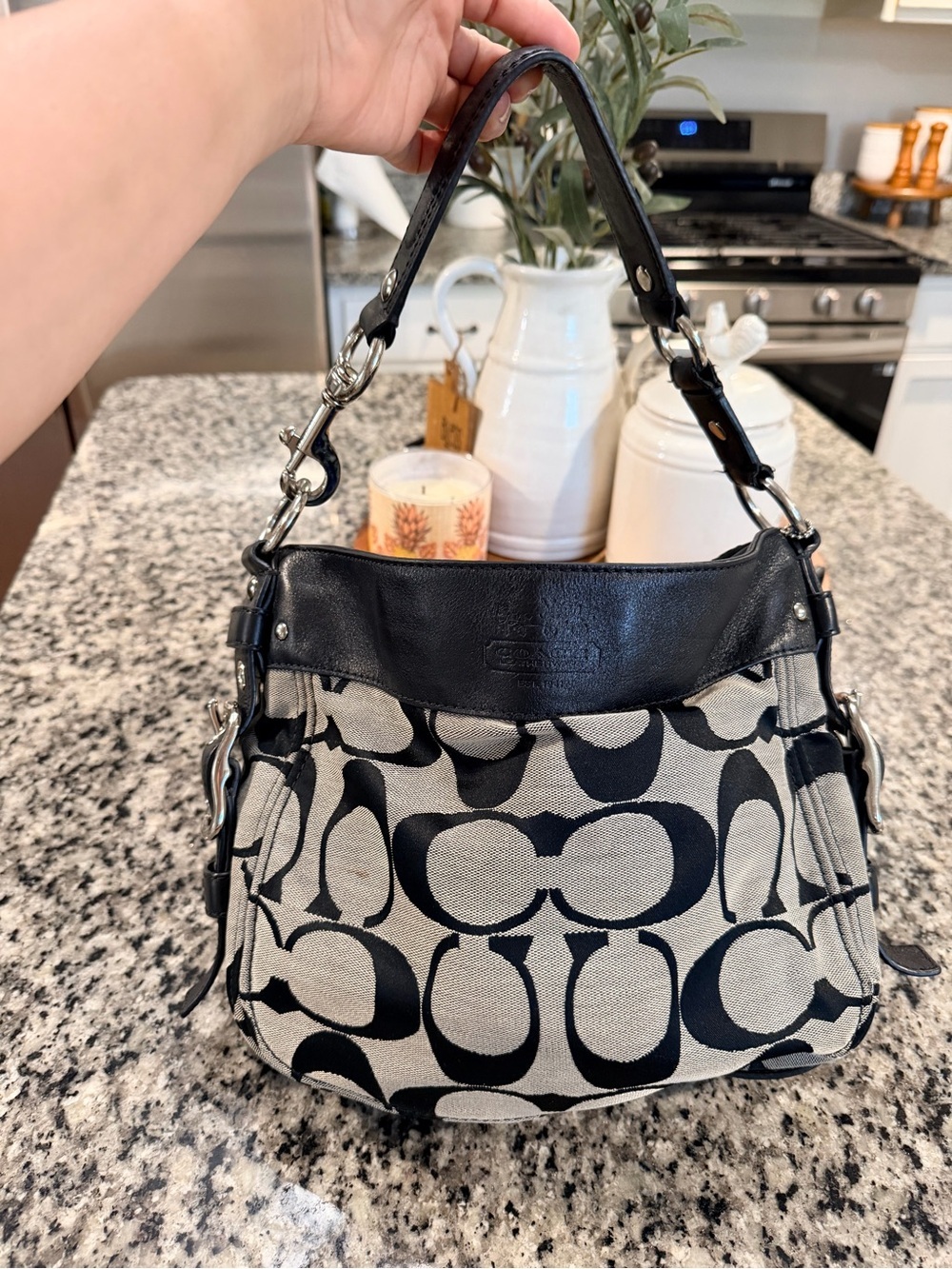 Coach Zoe Hobo Shoulder Bag Purse Black Signature C Canvas Handbag